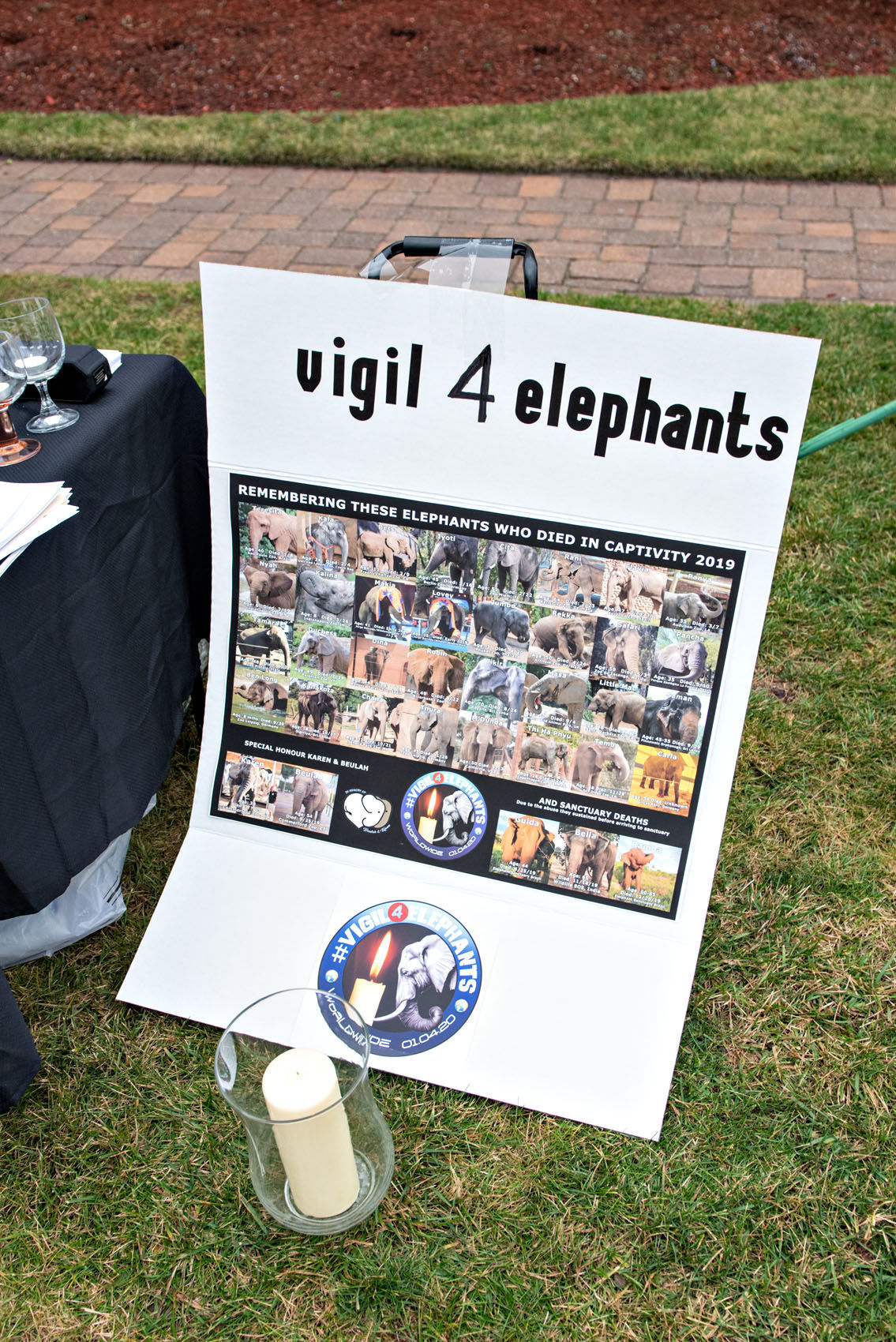 010520_nws_elephants